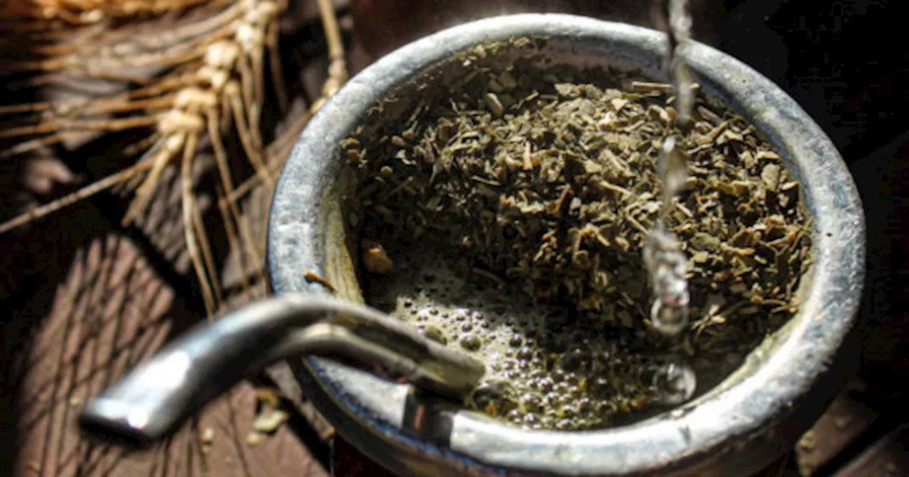 Adiós al cansancio: la hierba para agregar al mate que ayuda a potenciar tu energía