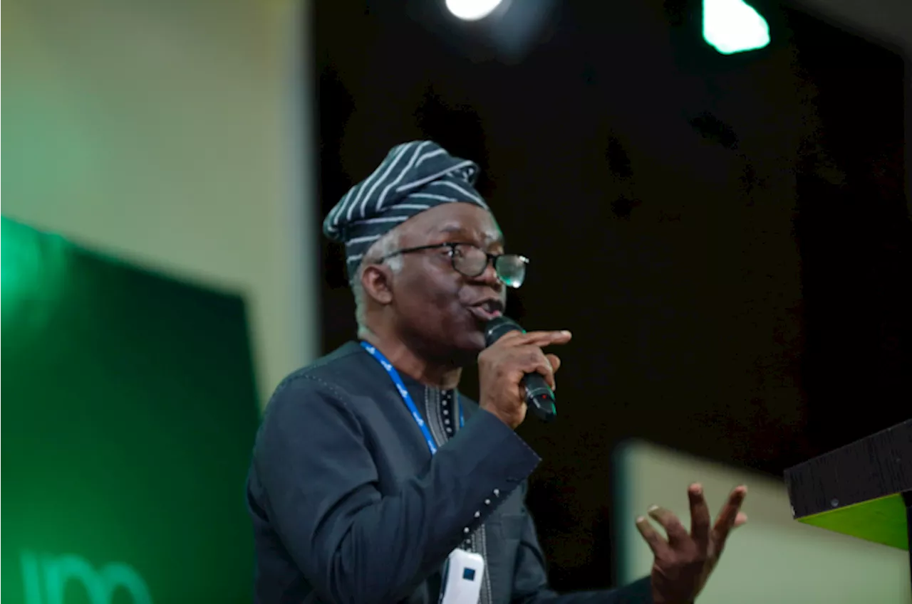 Falana condemns renaming of Lagos streets by LCDA, says it’s unconstitutional