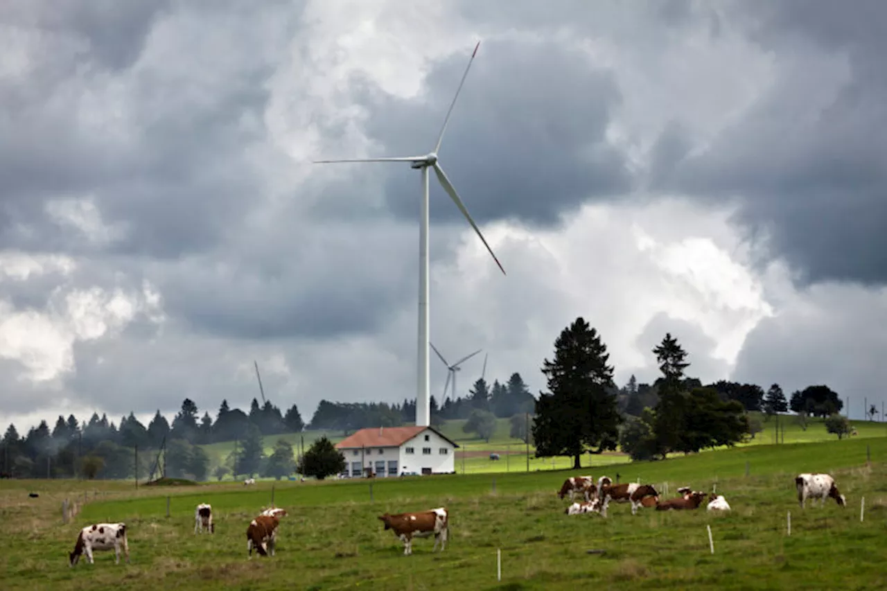 Schweiz: Zwei Volksinitiativen sollen Windkraft-Ausbau bremsen