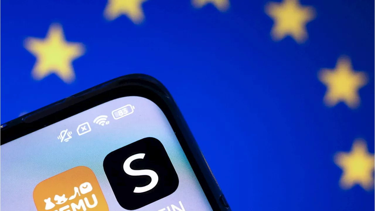 L'Ue accusa Temu: 'Prodotti illegali sulla sua piattaforma'