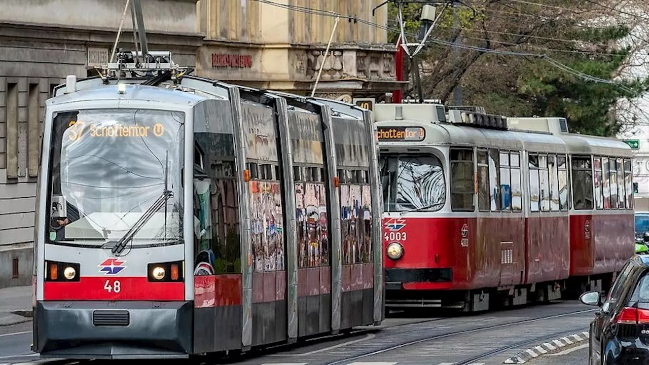 Gleisarbeiten legen Bim lahm - Stillstand! Bim-Linie 37 fährt drei Wochen nicht