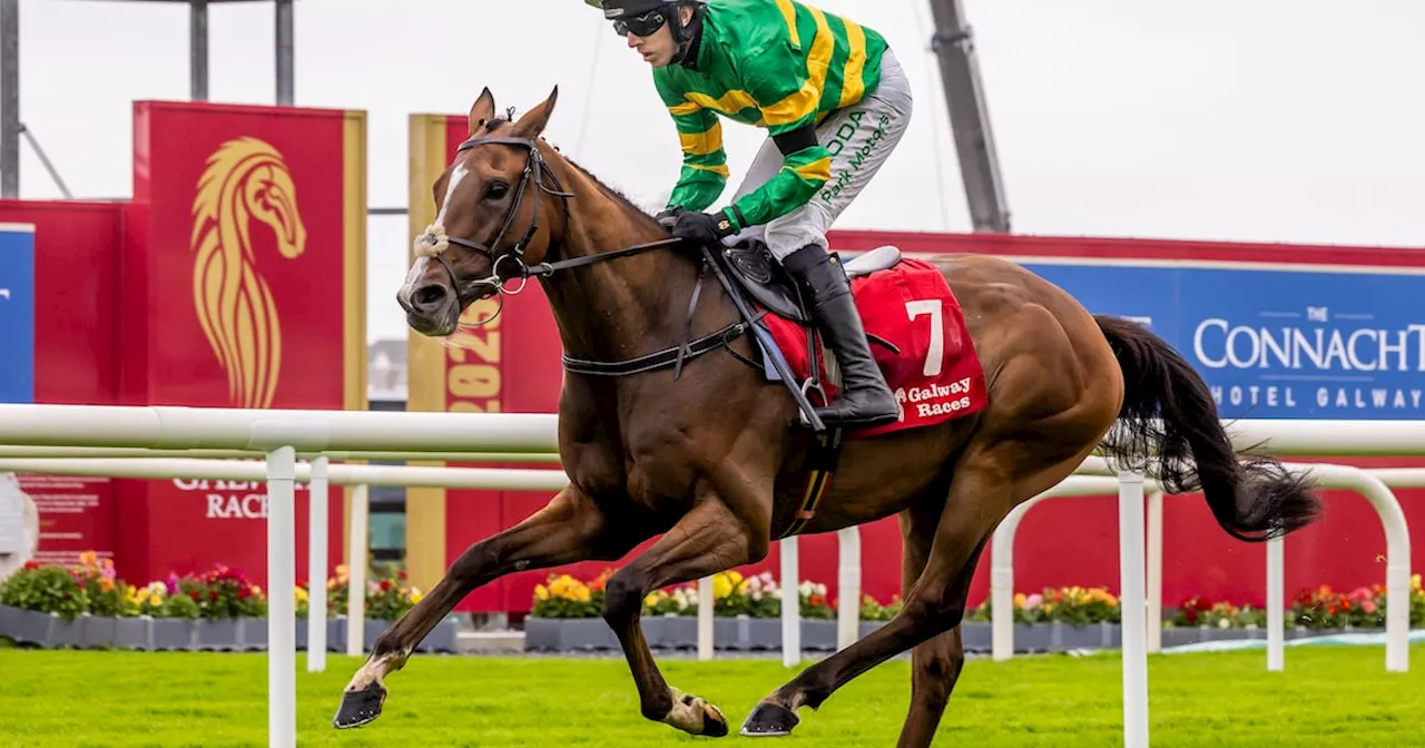 Galway Races: Davy Crockett makes last stand in first race