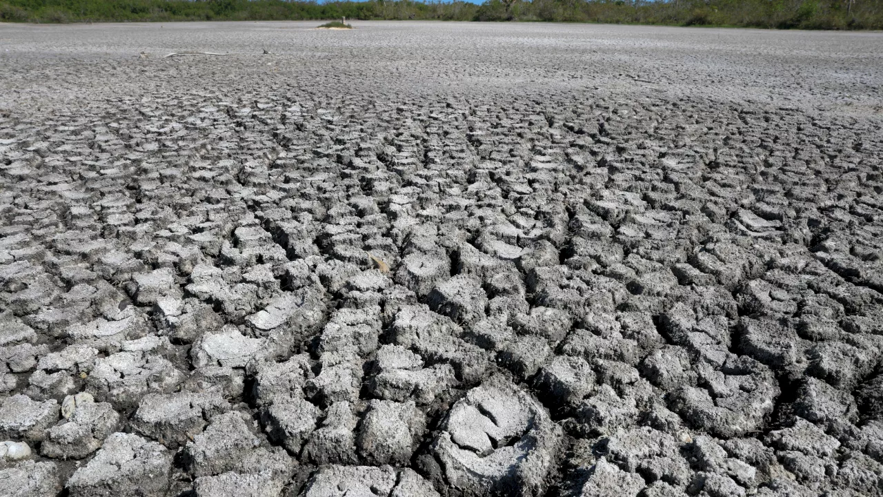 Earth's continents are drying out at unprecedented rate, satellite data reveal