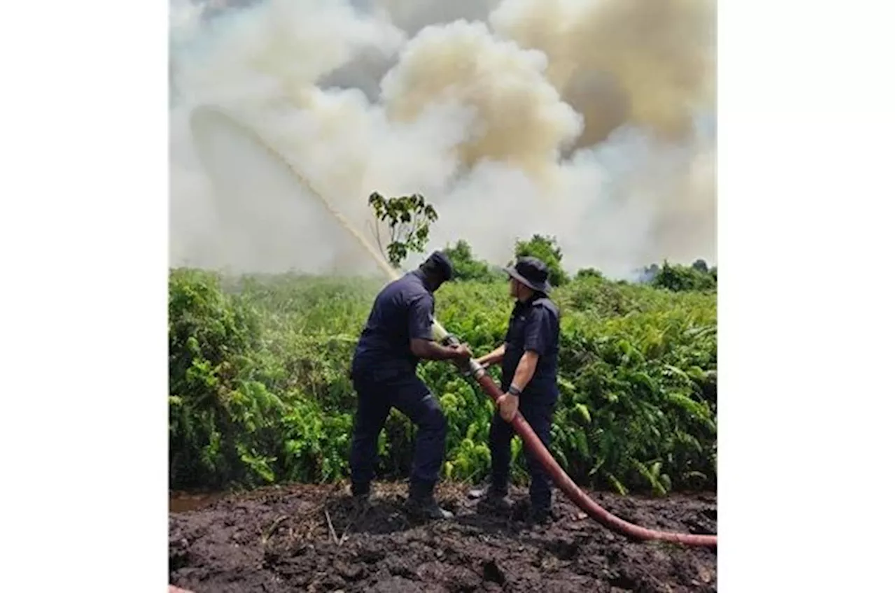 Mukah forest fire enters fourth day