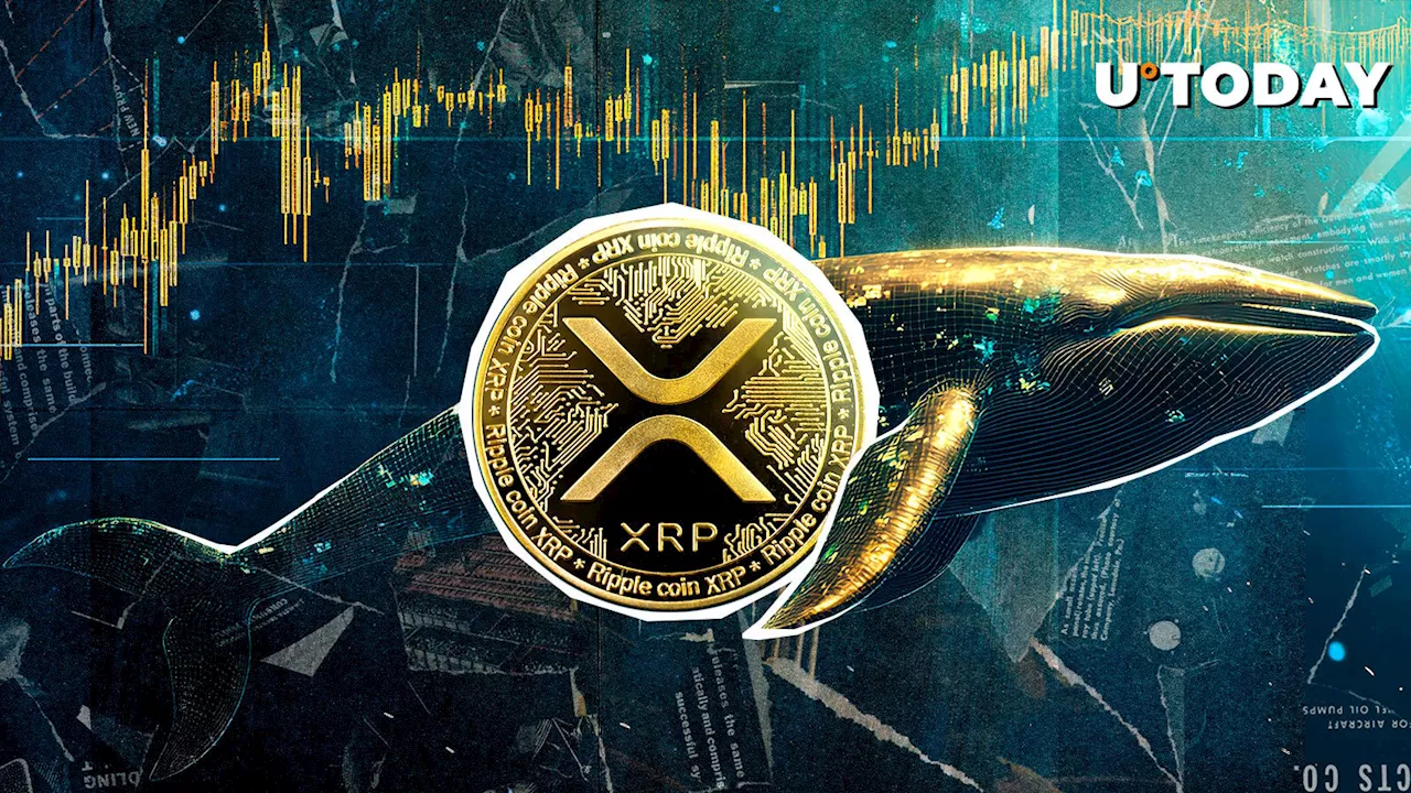 Mysterious Whale Suffers Epic $4,497,377 XRP Liquidation, But Here's Twist