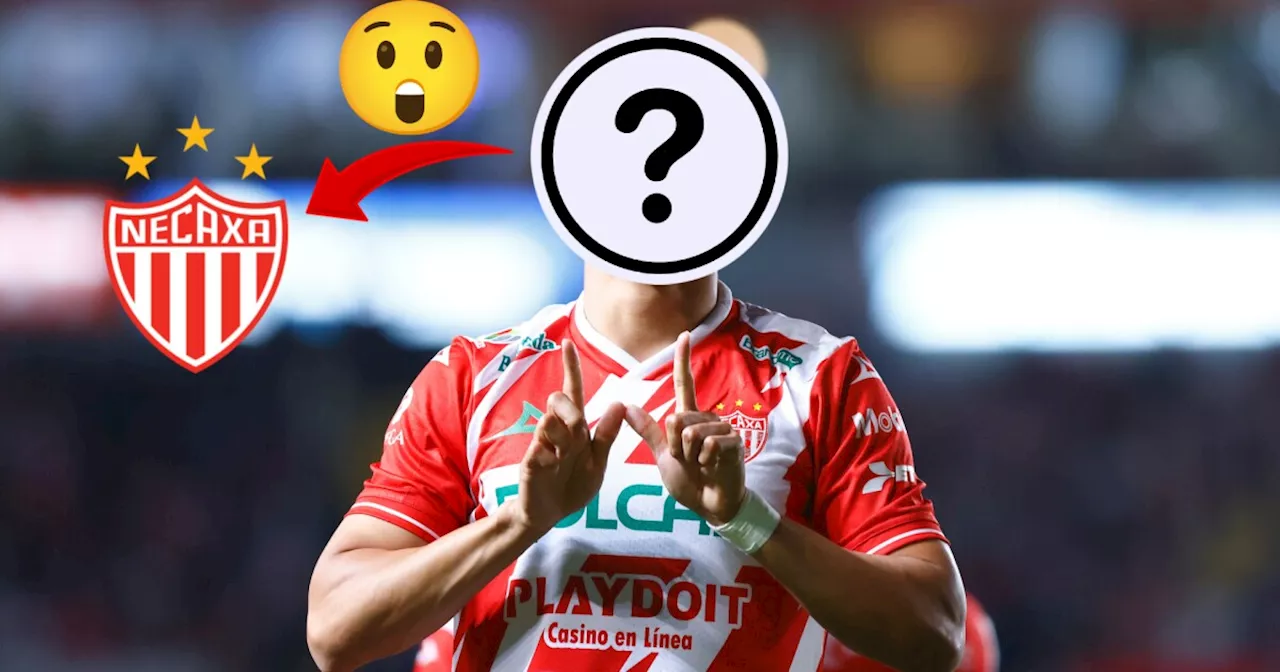 Lo quisieron sacar de la Liga BBVA MX y Necaxa hizo una jugada maestra para que se quede