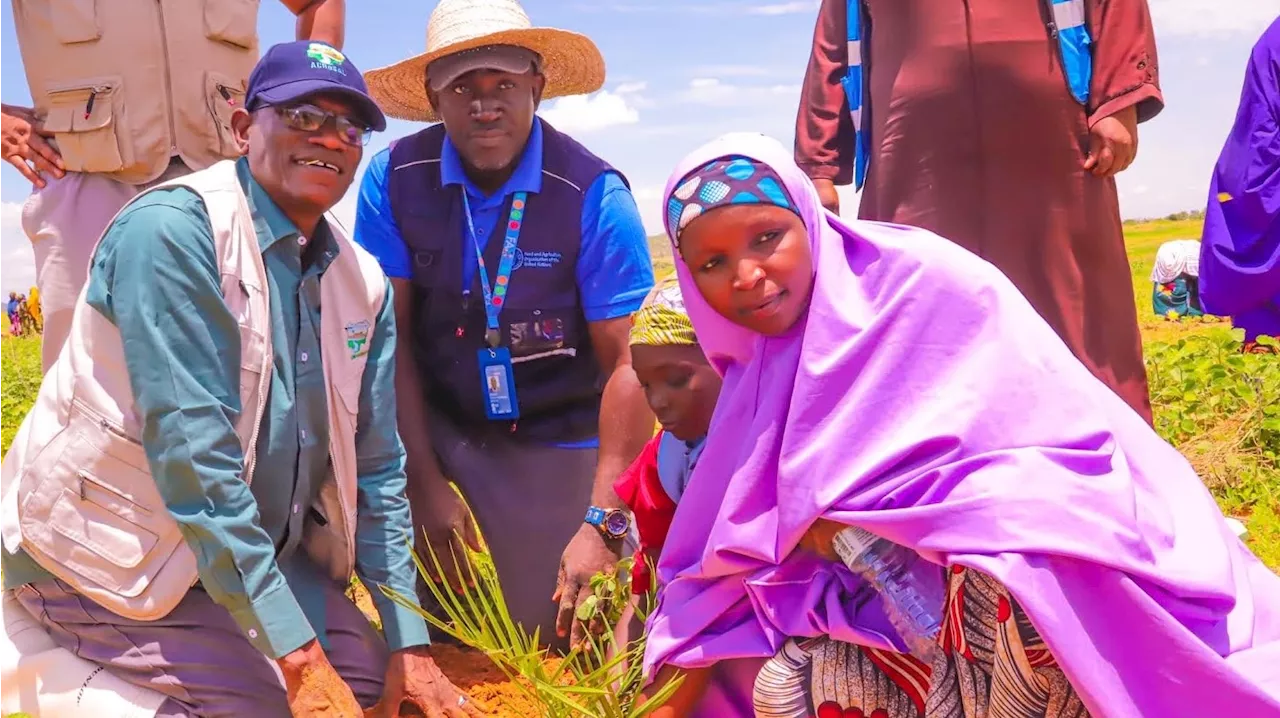 Jigawa ACReSAL, FAO launch land restoration initiative
