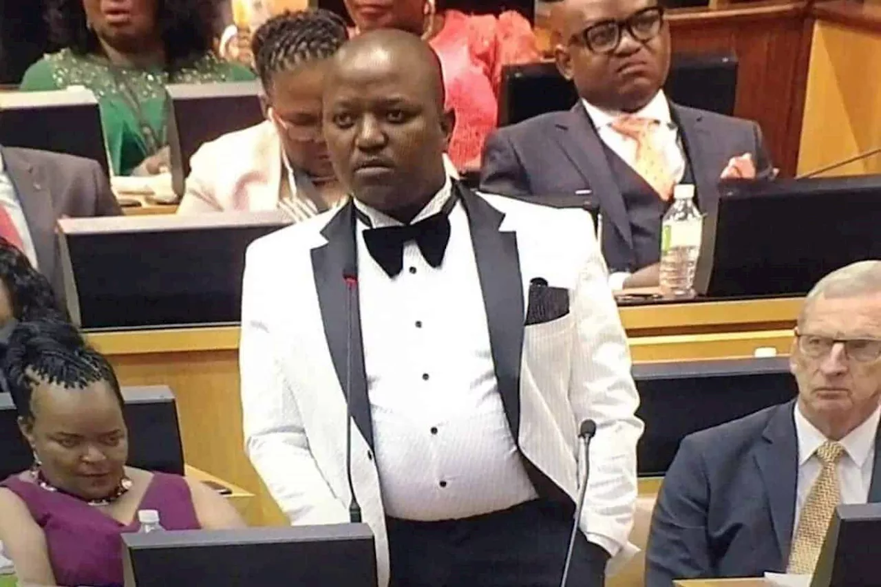 IEC rejects Mamabolo’s ‘Mandela for President’ party registration over multiple compliance issues