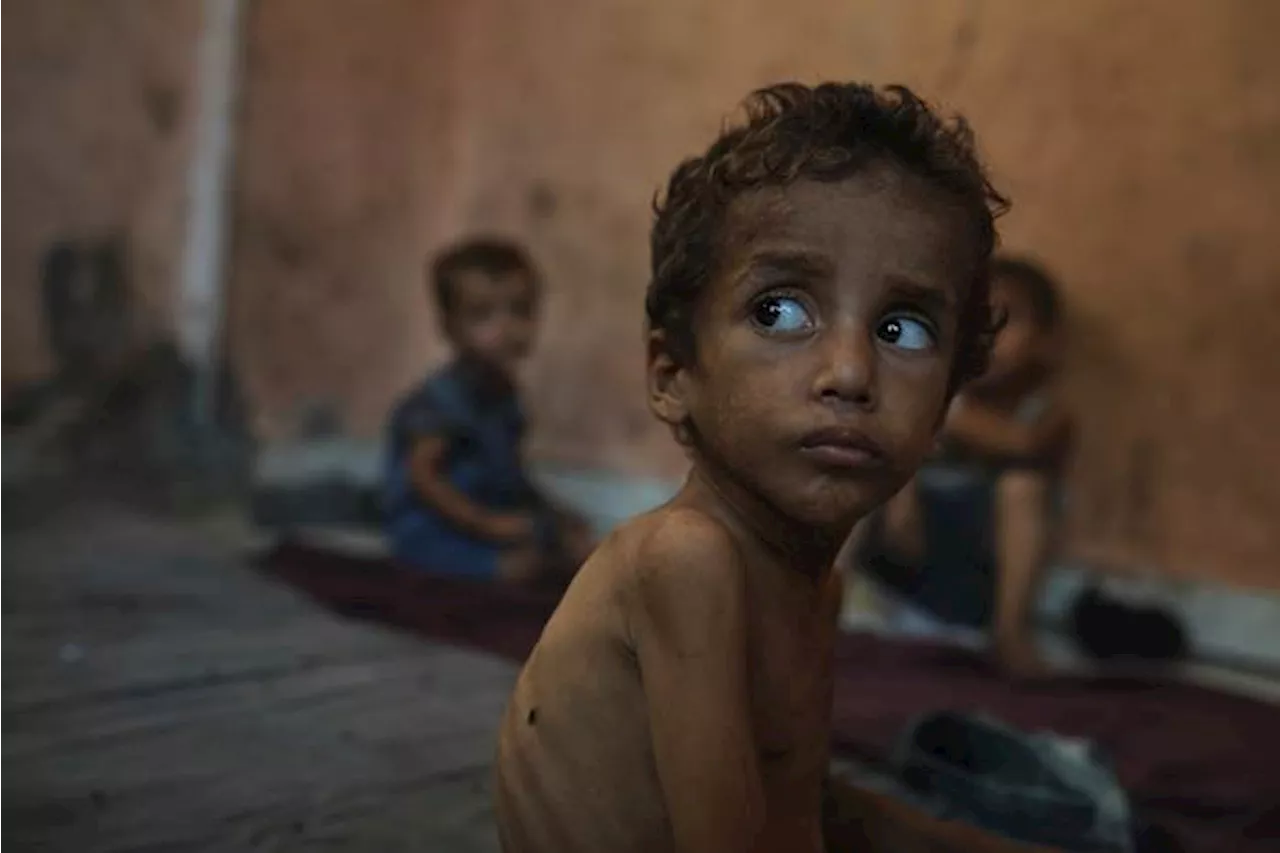 Democrats press Trump officials for 'large-scale' effort to address Gaza starvation