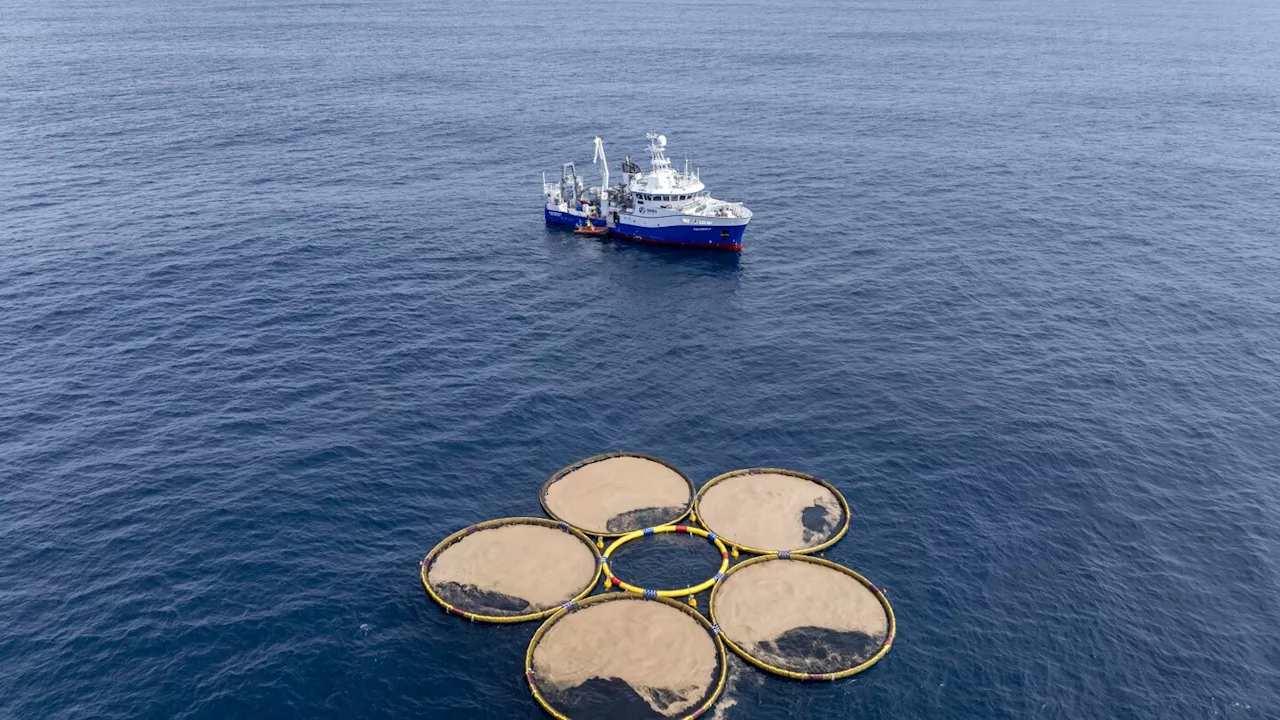 Scientists raise questions about startup's plan to save the ocean