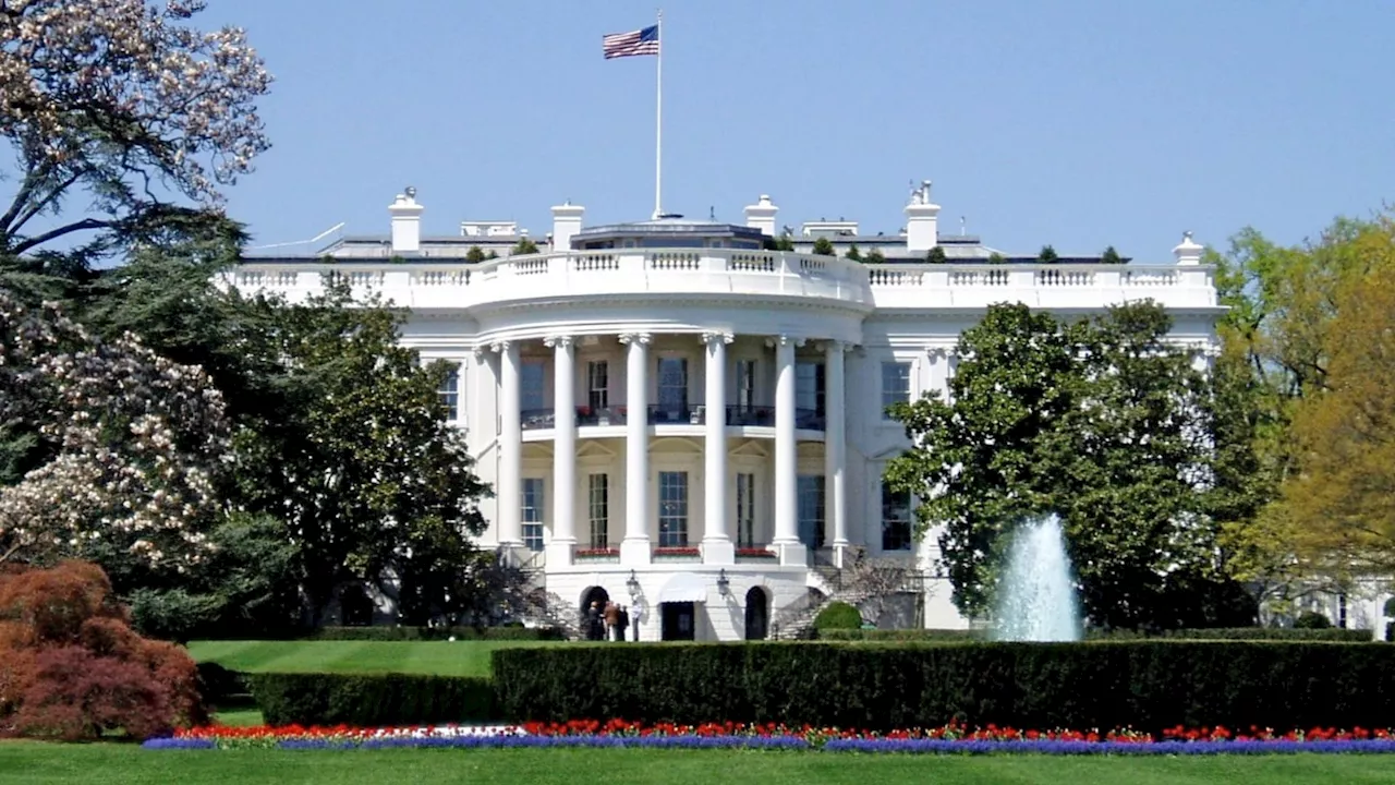 White House fury fuels rise of app that warns immigrants about ICE agent raids