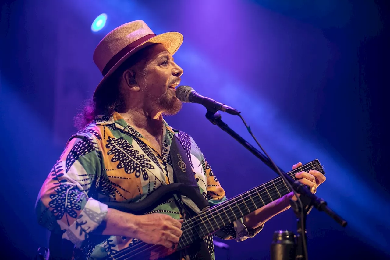 Arraiá do Circo, Chico Diaz, Mombojó: um programa para cada dia da semana