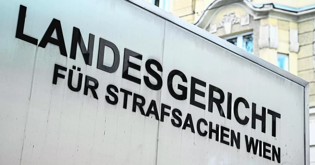 Gewalt-Exzess nach Instagram-Fehde: 17-Jähriger in Wien verurteilt