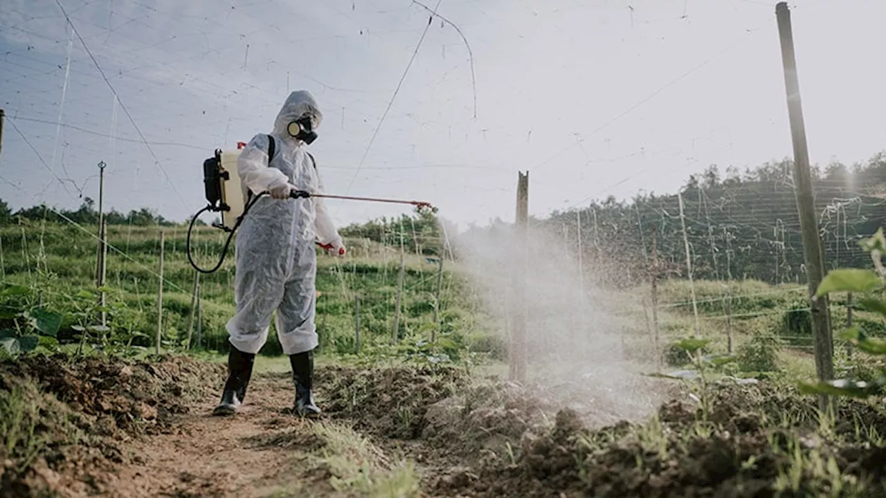 Why Farmers Aren’t to Blame for Pesticide Risks