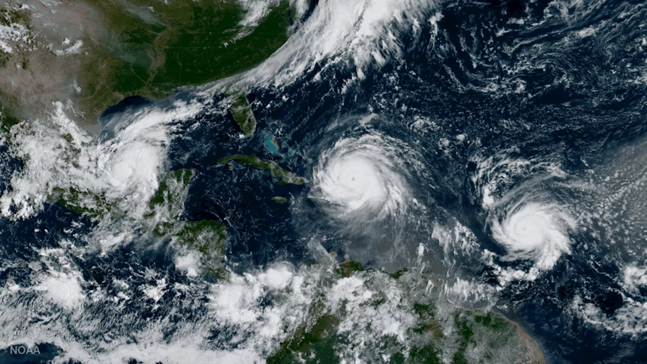 NOAA, Google scientists team up to advance AI hurricane models