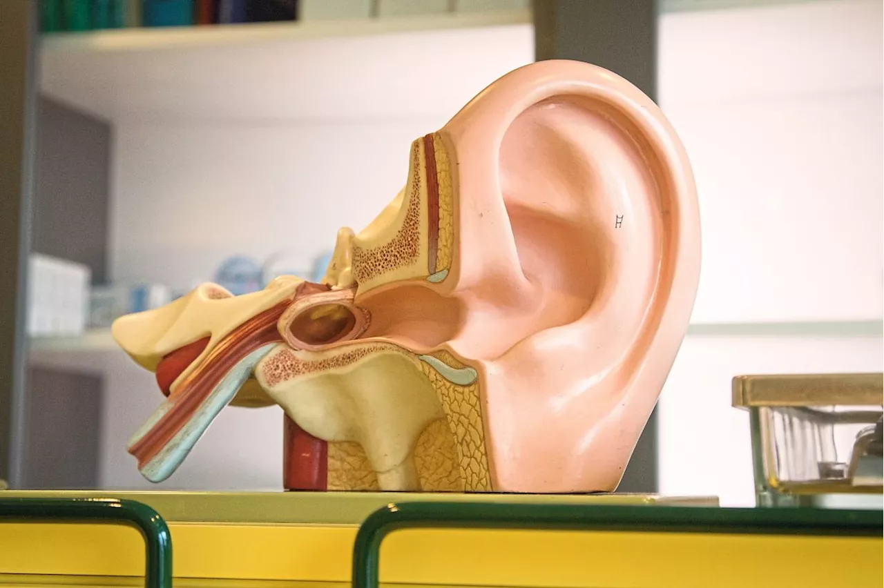 Could ear wax help diagnose Parkinson’s disease?