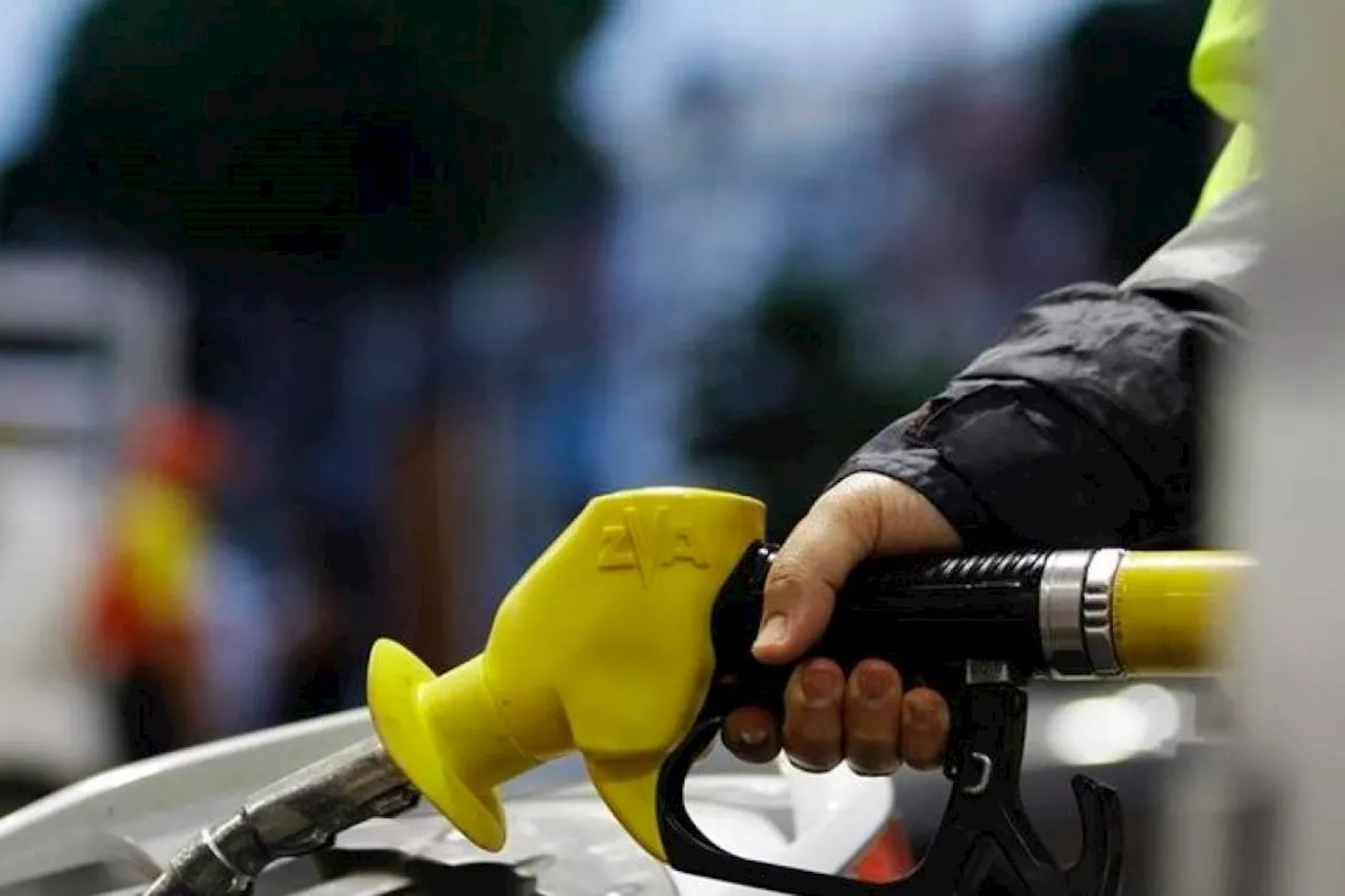 Subsidy reform must be done gradually with inclusion as core principle: Expert
