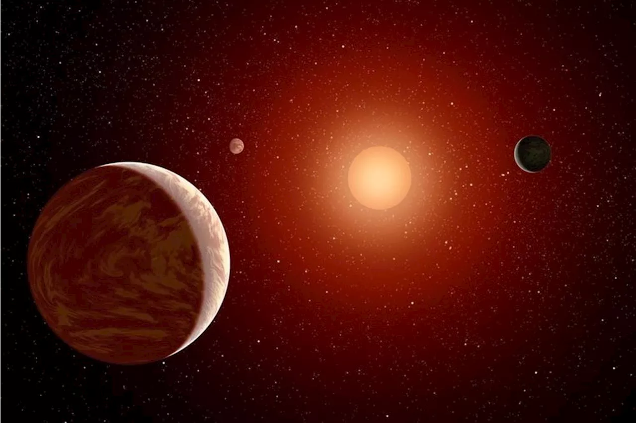 In the Search for Earth-like Worlds, We Should Probably Focus on Red Dwarfs