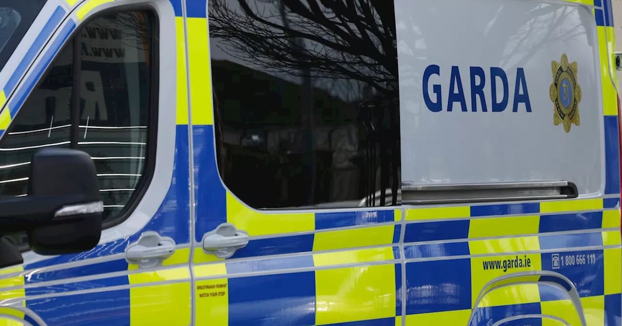 Man arrested after another man dies in crash on Dublin’s M50 motorway