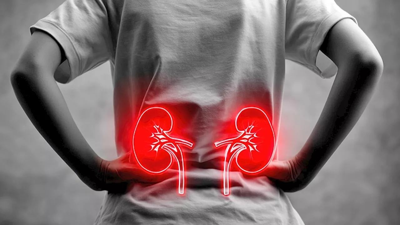 Can Low Lupus Activity Predict Outcomes in Lupus Nephritis?