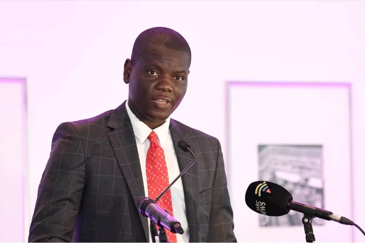 SA pushes for two-state solution in Palestine: ‘Peace must prevail,’ says Lamola [VIDEO]