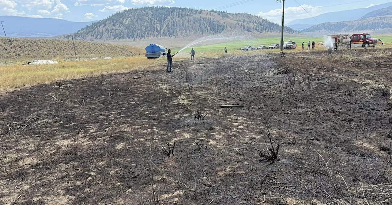 Osprey drops fish onto powerline, causing fire in Ashcroft, B.C.
