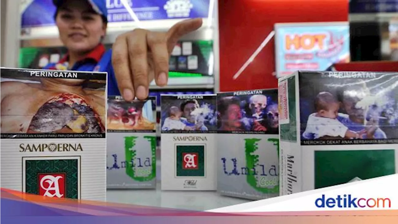 Pangsa Pasar Naik Jadi 31%, Sampoerna Cetak Laba Rp 2,1 T