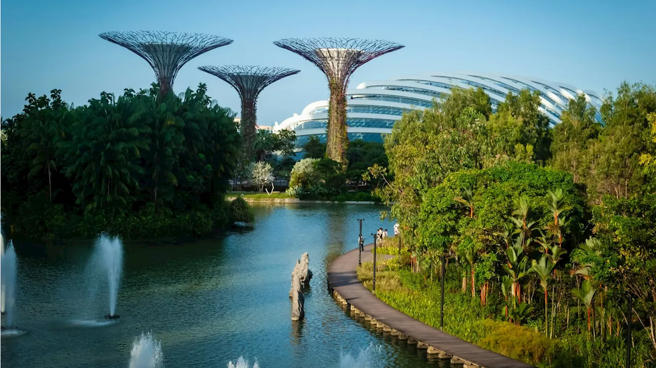 Silicon Southeast Asia: How Singapore became the region's startup hatchery - Singapore News