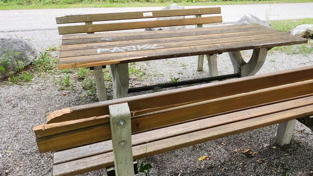 Schwarzau am Steinfeld: Ärger über Vandalismus