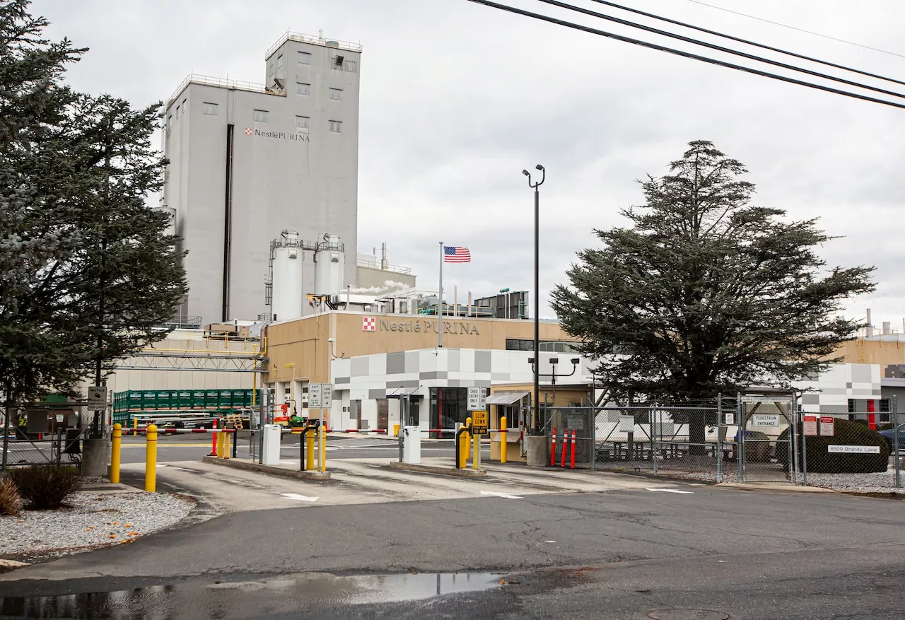 ‘If you smell something, say something:’ Cumberland County town wants to know who dealt it