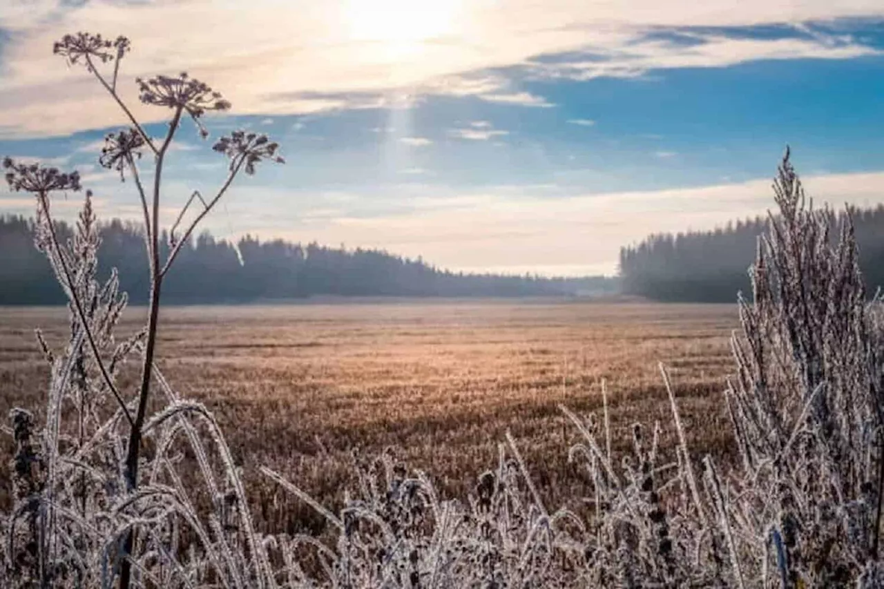 Gauteng braces for a chilly, dry weekend with clear skies
