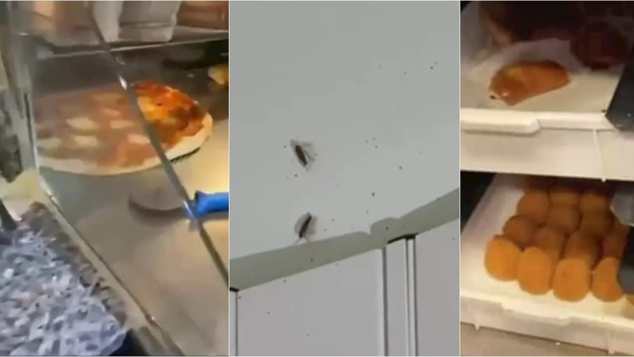 Blatte sul bancone e alimenti non tracciati: chiusi due bar dell'aeroporto