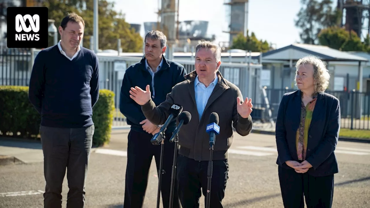 Federal government commits $430 million to prop up Newcastle hydrogen hub