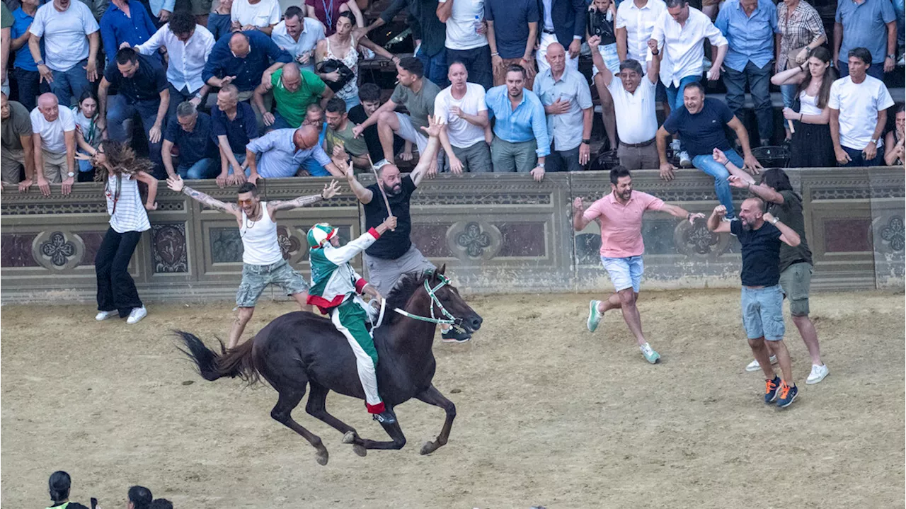 Palio di Siena, l'Oca trionfa con un assolo di Tittia