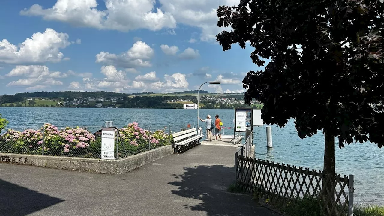 Birrwil: Schiffsteg öffnet drei Wochen nach dem Sturmschaden wieder