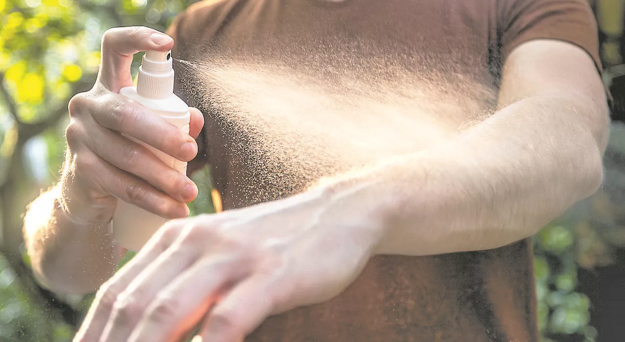 Zecche, spray e buon senso per evitare il parassita