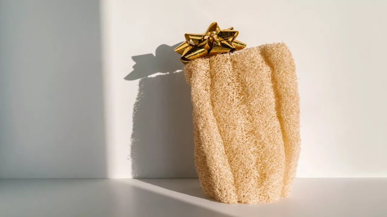 Scientists develop loofah-based polymer stronger than plastic, lighter than foam