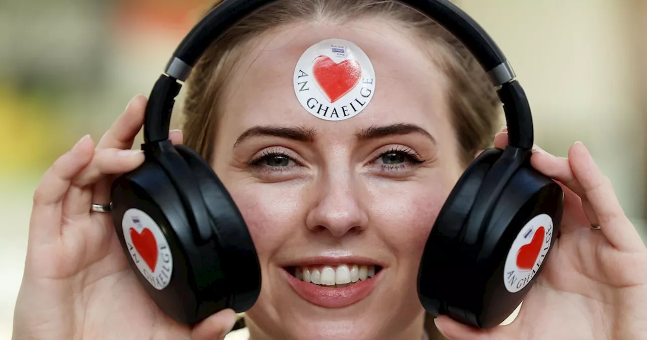 Irish language organisations withdraw from forum over ‘existential threat’ from funding crisis