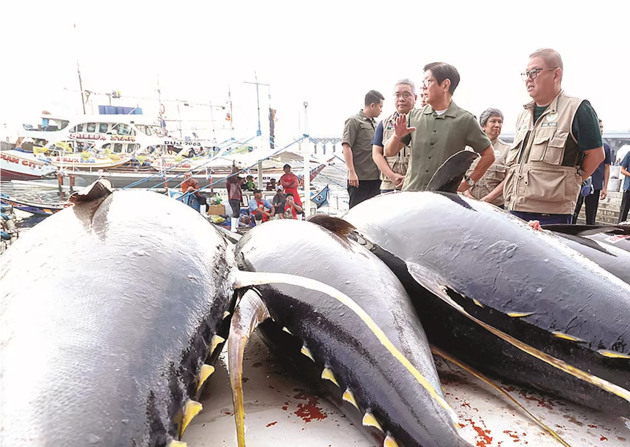 Boost fisheries with more cold storage facilities—PBBM
