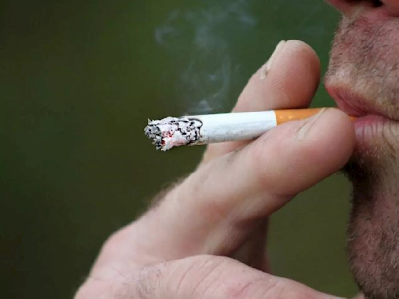Si dejó el cigarrillo, este sería el tiempo que necesita para limpiar su cuerpo
