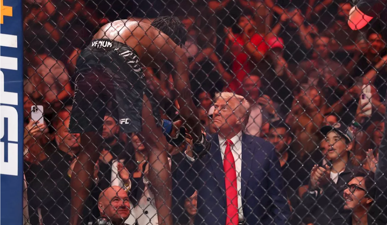 Trump planning UFC fight at White House for US’ 250th anniversary