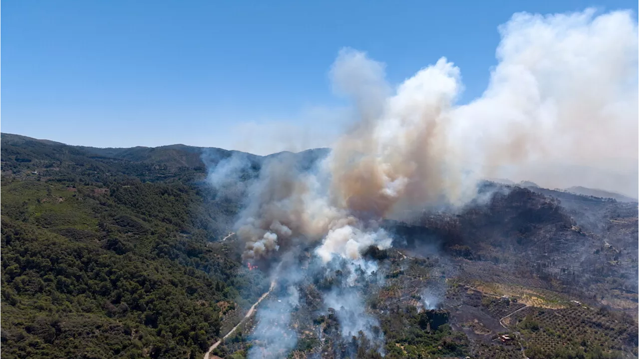La Siria combatte l'incendio boschivo a Latakia