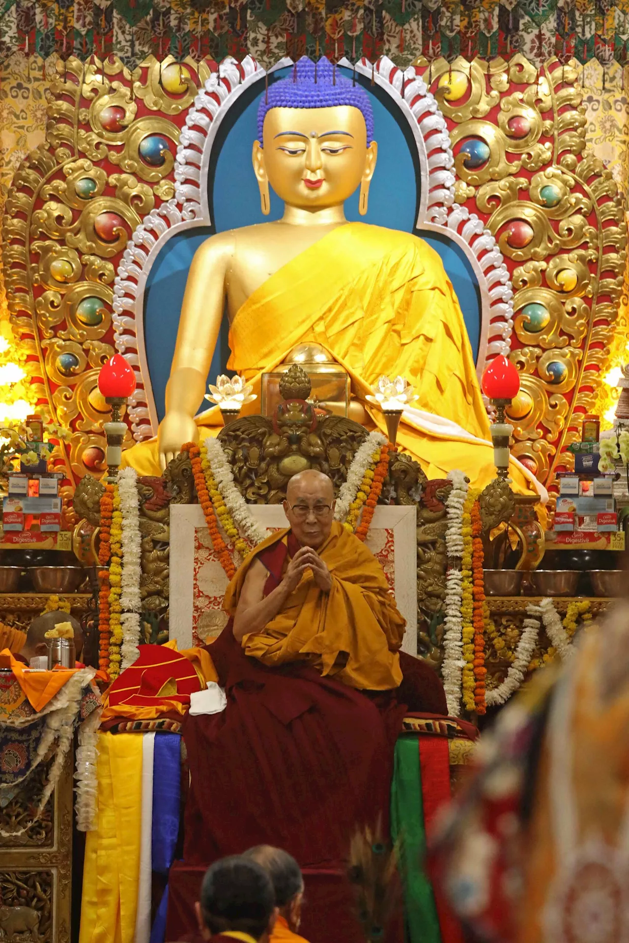 Dalai Lama, on eve of 90th, aims to live for decades more