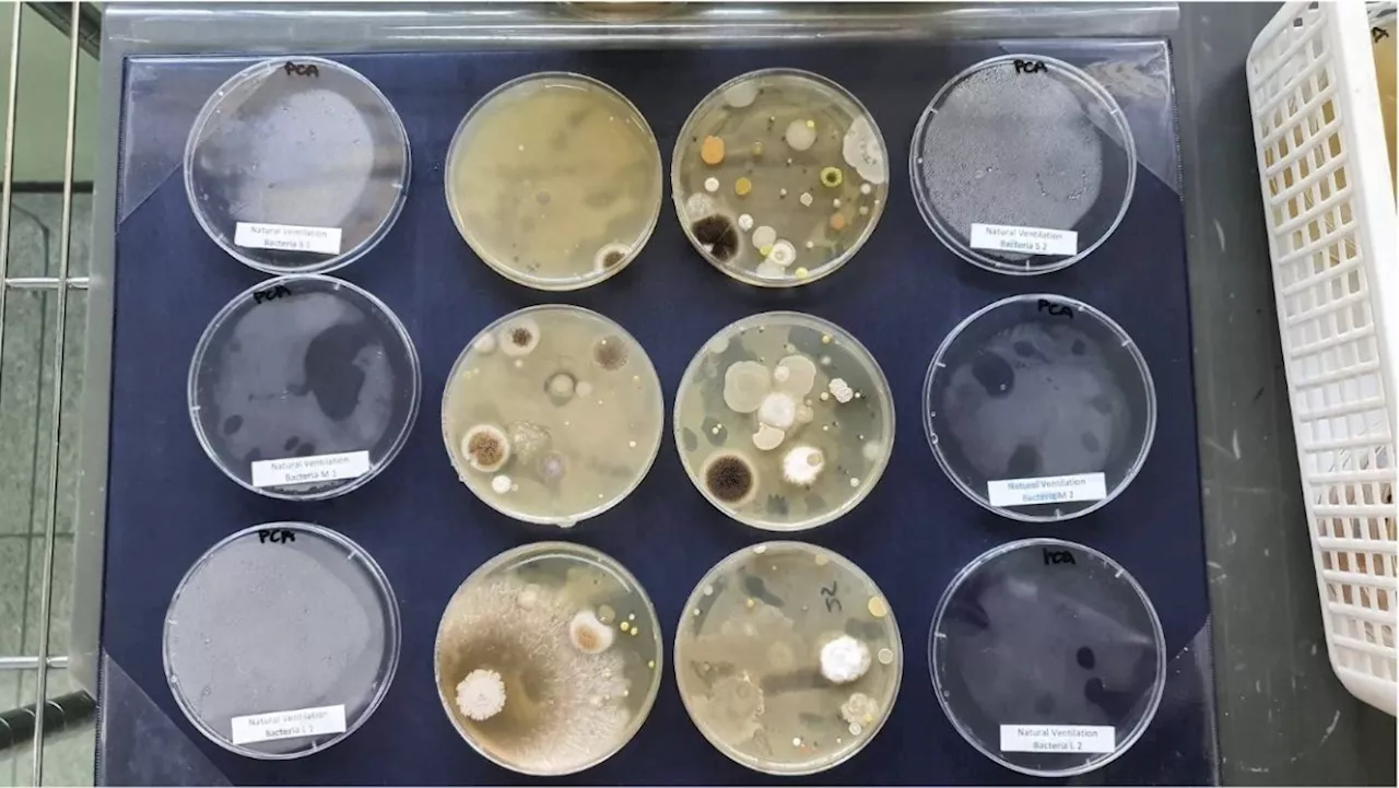 Study framework combines urban microbiome research with architecture