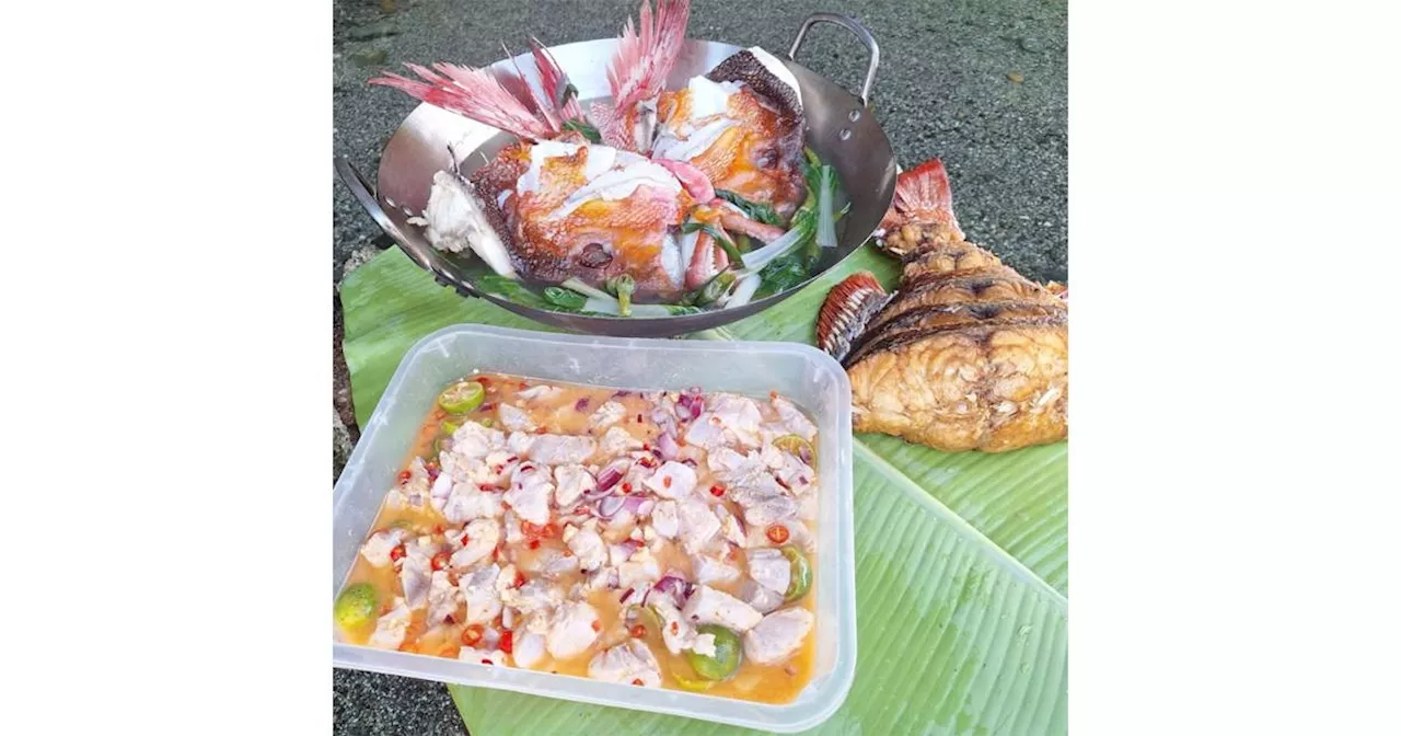 The warmth of fish tinola