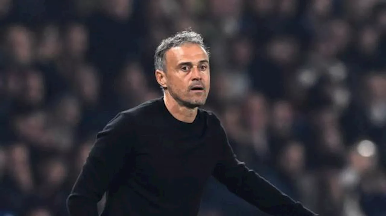 PSG, Luis Enrique sui due rossi: 'Non sono sicuro che ci fosse il secondo'