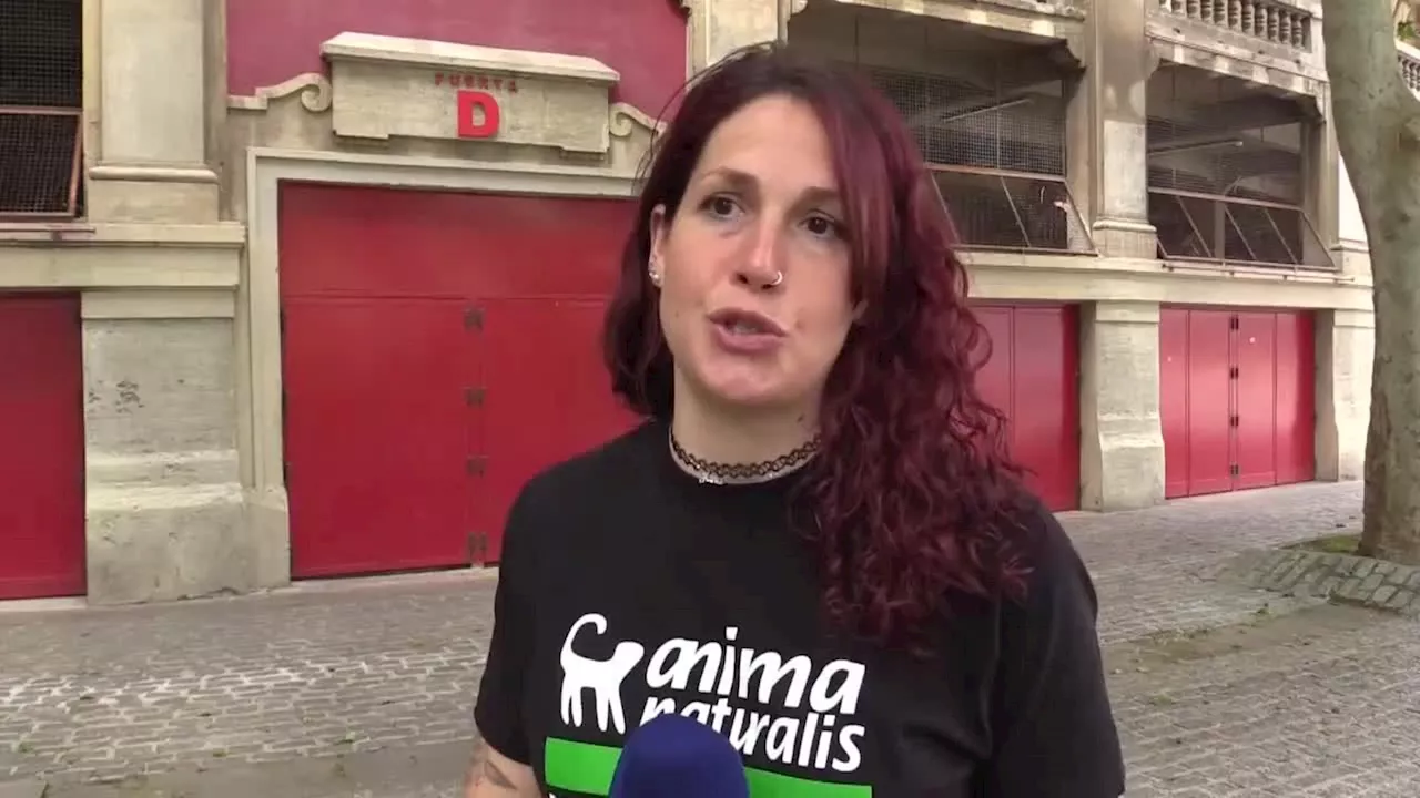 La pregunta del millón: ¿Son posibles los Sanfermines sin toros?