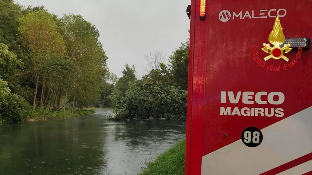 Albero cade nel Milanese per il maltempo, una morta e due feriti
