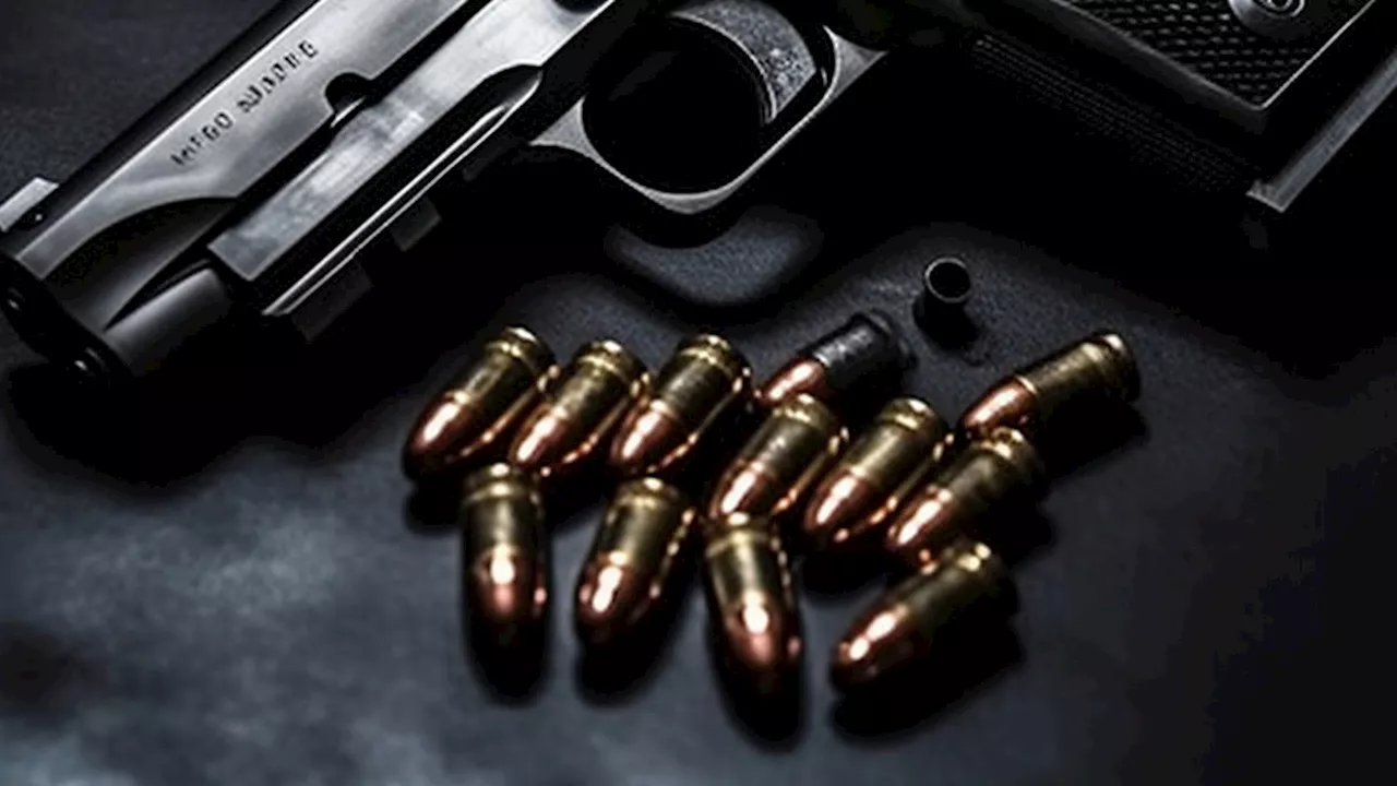 Liberalización de armas: 'un retroceso de medio siglo'