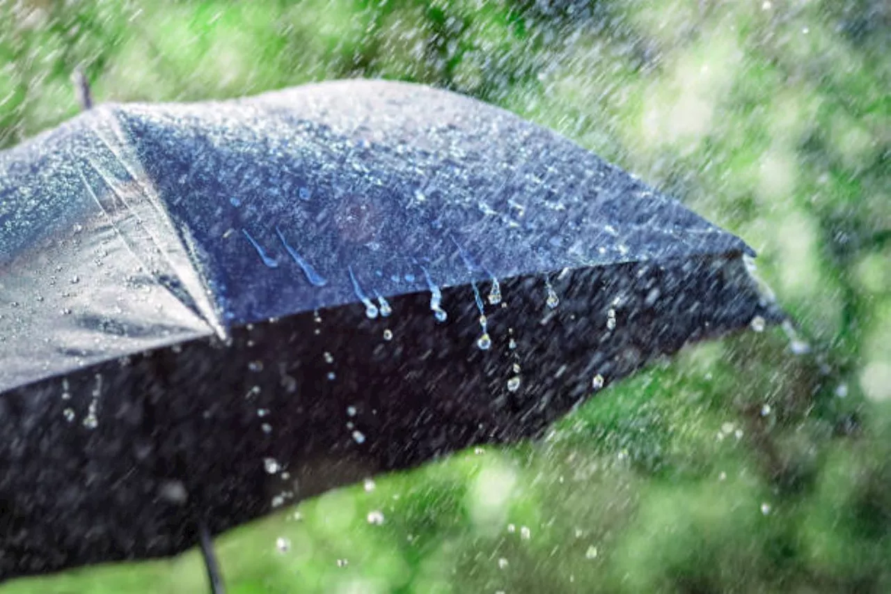 WEATHER: Damaging winds and RAIN expected to hit parts of SA